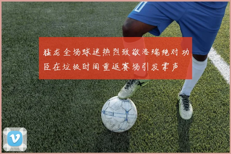 猛龙全场球迷热烈致敬洛瑞绝对功臣在垃圾时间重返赛场引发掌声
