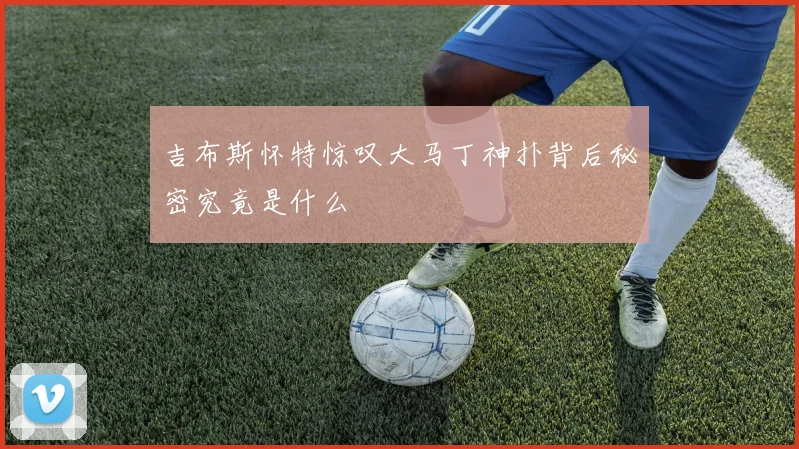 吉布斯怀特惊叹大马丁神扑背后秘密究竟是什么